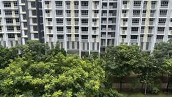 Blk 419B Waterfront II @ Northshore (Punggol), HDB 2 Rooms #559352021